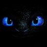 Profilbild von knightfury