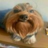 Leitor de Relatos - ( Christian )'s profile picture