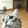 Tristan profil fotoğrafı