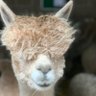 Profilbild von mar