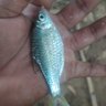 Cak_eep profil fotoğrafı