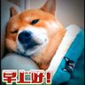 πPi's profile picture