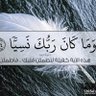 س.القويماني 的头像