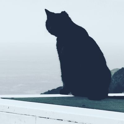 itcaat's profile picture