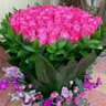 Фото профиля shahalam