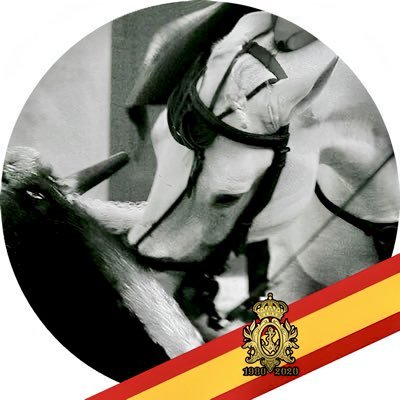 𝒜𝓃𝓉𝑜𝓃𝒾𝑜 ℳ𝒶𝓃𝓏𝒶𝓃𝑜 𝒰𝓇𝒾𝓏.'s profile picture