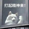 Profilbild von 素鸡