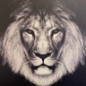 damrothenberger's profile picture