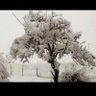 Фото профиля ali aljazouli