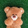 🚨⚡️BADGIRLTEDDY 👸🏾🐻's profile picture
