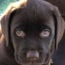 SlamDog's profile picture