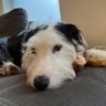Profilbild von Brian