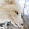 李大黑 profil fotoğrafı