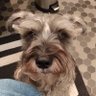 Fatboy Bru profil fotoğrafı