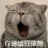 cocolala 的头像