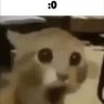 :0's profile picture