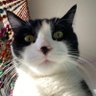 she/her's profile picture