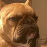 Profilbild von Jeff