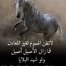 Фото профиля مغنيس العنسي
