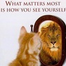 Dawn Barker's profile picture