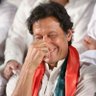 عمران کا دیوانہ profil fotoğrafı