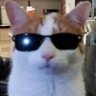 Profilbild von Lauta
