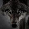 Profilbild von LONE.J.WOLF