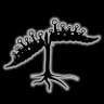 Фото профиля Bloom Seed Company