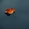 uy2011 profil fotoğrafı