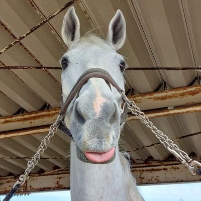ラック@宮崎大学's profile picture
