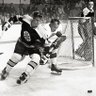 iHockey profil fotoğrafı