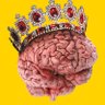 MentalClarityNow profil fotoฤrafฤฑ
