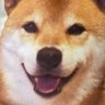 Profilbild von 道産子KRNSK