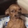 Profilbild von Yesman