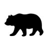 Kuma🐻's profile picture