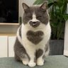 Profilbild von Nic