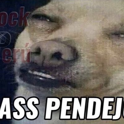 seth_liebe's profile picture