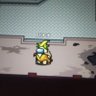 真・バナナ 的头像