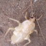 Фото профиля Kolawole Atinsola