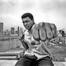 Profilbild von ZBOXINGTALK