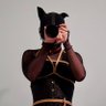 Ax的紧缚研究 profil fotoğrafı