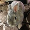 みゆパパ's profile picture