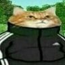 Quado profil fotoğrafı