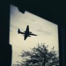 Planes Out The Window ✈️ profil fotoğrafı