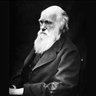 Profilbild von Uncle Charles