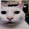 alexxxx's profile picture