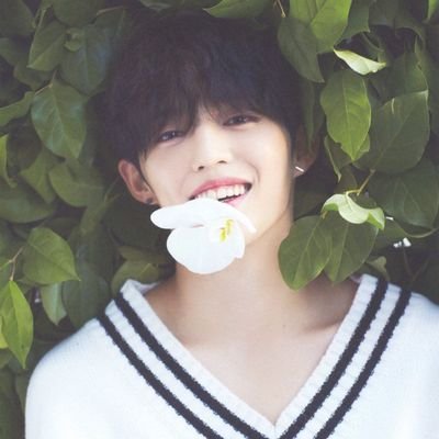 ⸙'s profile picture
