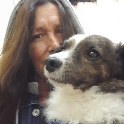 patripeyrou's profile picture