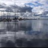 moh9 的头像