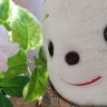 もものみみ profil fotoğrafı